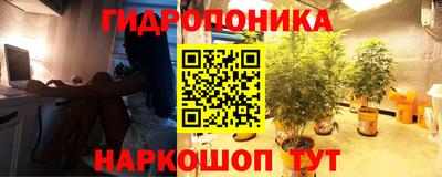 каннабис Можга