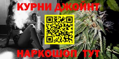 стаф Моздок