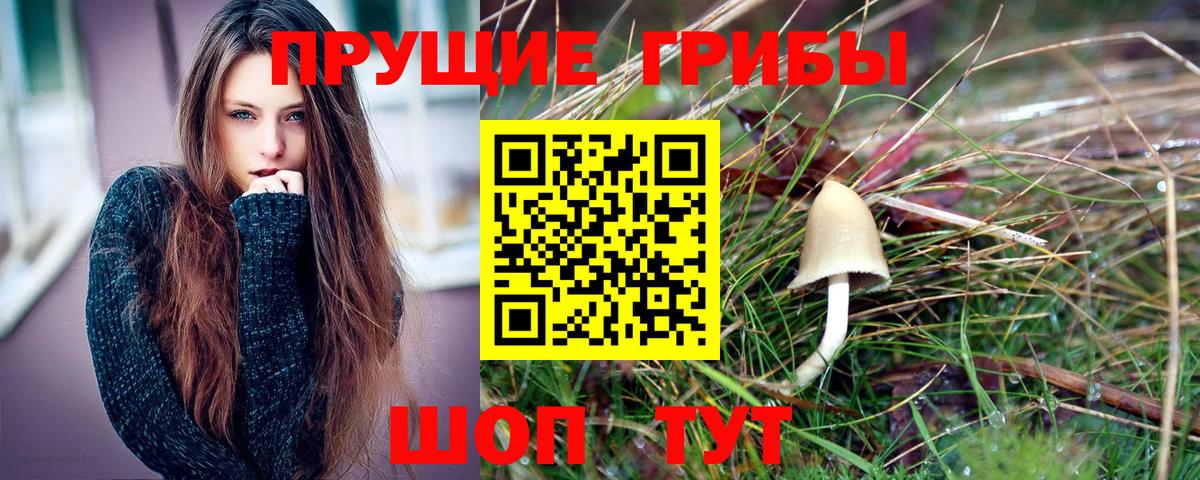 Галлюциногенные грибы мухоморы  Вход с VPN  Семилуки 